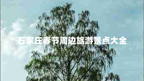 石家莊春節(jié)周邊旅游景點大全