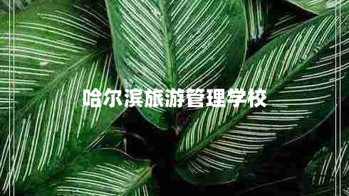 哈爾濱旅游管理學(xué)校