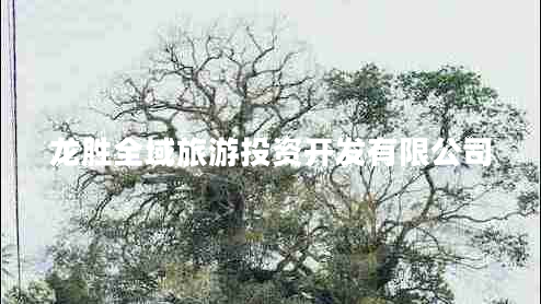 龍勝全域旅游投資開發(fā)有限公司