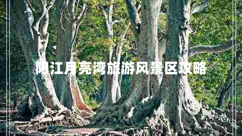 陽江月亮灣旅游風(fēng)景區(qū)攻略