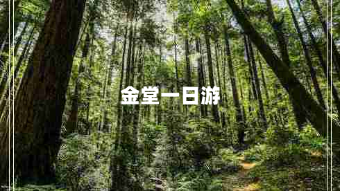 金堂一日游 金堂一日游
