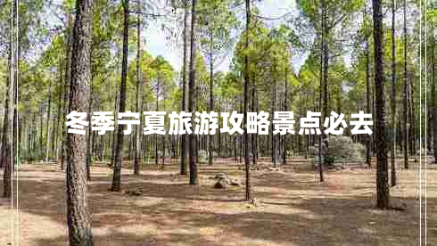 冬季寧夏旅游攻略景點(diǎn)必去