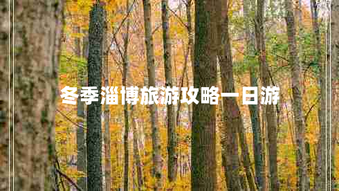 冬季淄博旅游攻略一日游