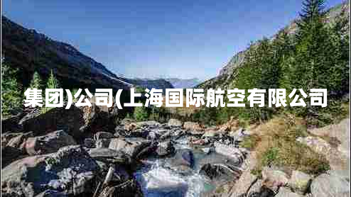 集團)公司(上海國際航空有限公司 集團)公司(上海國際航空有限公司