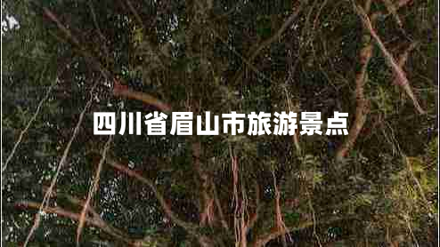 四川省眉山市旅游景點