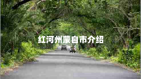 紅河州蒙自市介紹