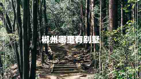 郴州哪里有別墅