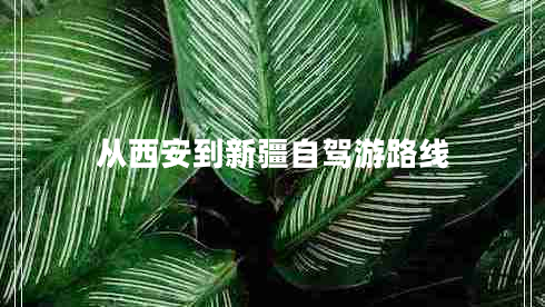 從西安到新疆自駕游路線 從西安到新疆自駕游路線