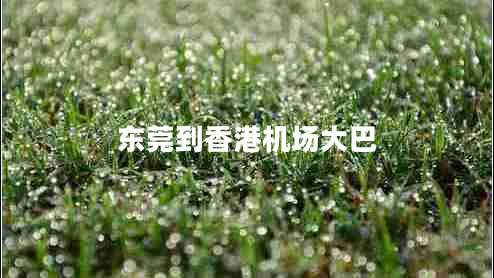 東莞到香港機場大巴 東莞到香港機場大巴