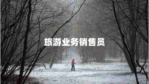 旅游業(yè)務(wù)銷(xiāo)售員