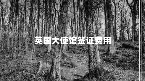 英國大使館簽證費(fèi)用