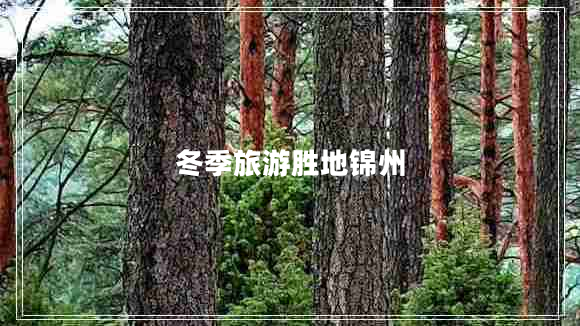 冬季旅游勝地錦州 冬季旅游勝地錦州