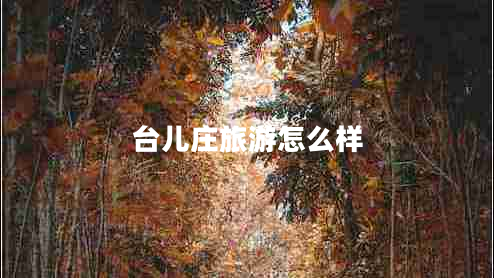 臺(tái)兒莊旅游怎么樣