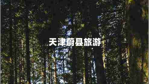 天津蔚縣旅游 天津蔚縣旅游