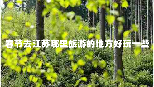春節(jié)去江蘇哪里旅游的地方好玩一些
