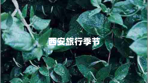 西安旅行季節(jié)
