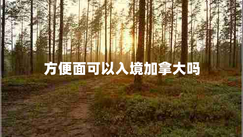 方便面可以入境加拿大嗎