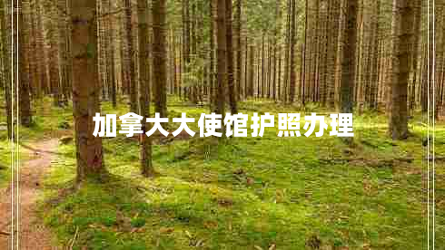 加拿大大使館護照辦理 加拿大大使館護照辦理