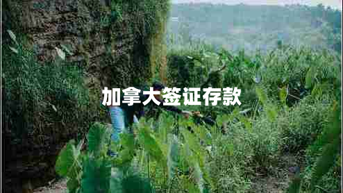 加拿大簽證存款