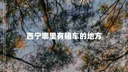 西寧哪里有租車的地方 西寧哪里有租車的地方