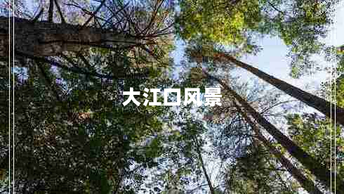 大江口風(fēng)景