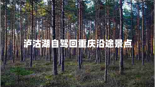 瀘沽湖自駕回重慶沿途景點