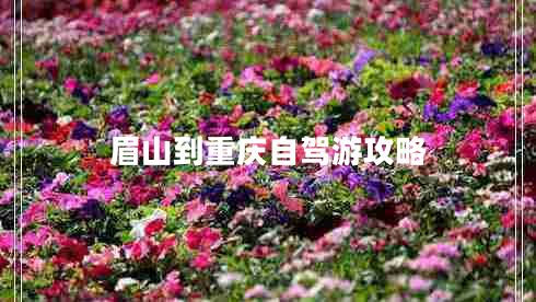 眉山到重慶自駕游攻略