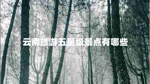 云南旅游五星級(jí)景點(diǎn)有哪些