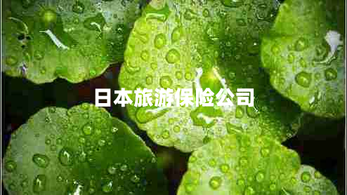 日本旅游保險(xiǎn)公司