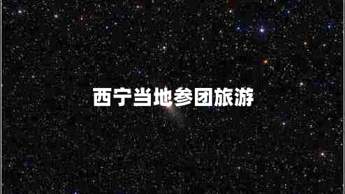 西寧當(dāng)?shù)貐F(tuán)旅游