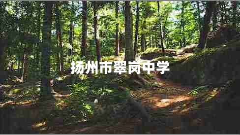 揚(yáng)州市翠崗中學(xué)