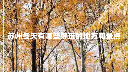 蘇州冬天有哪些好玩的地方和景點(diǎn)