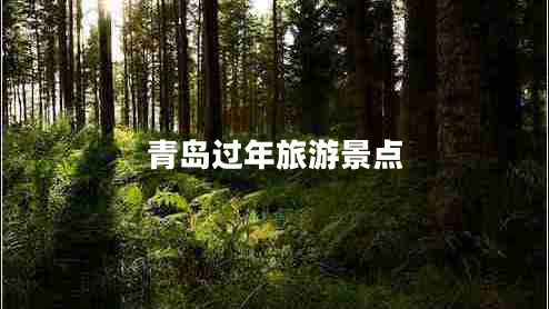 青島過年旅游景點(diǎn) 青島過年旅游景點(diǎn)