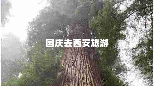 國慶去西安旅游 國慶去西安旅游