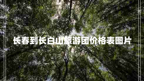 長(zhǎng)春到長(zhǎng)白山旅游團(tuán)價(jià)格表圖片