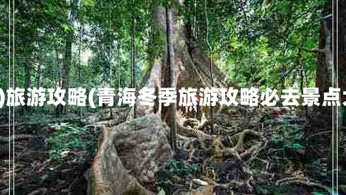 1月)旅游攻略(青海冬季旅游攻略必去景點大全