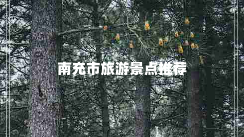 南充市旅游景點(diǎn)推薦