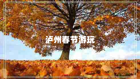 瀘州春節(jié)游玩