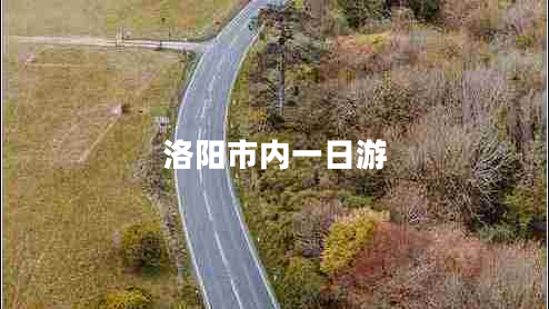 洛陽市內(nèi)一日游