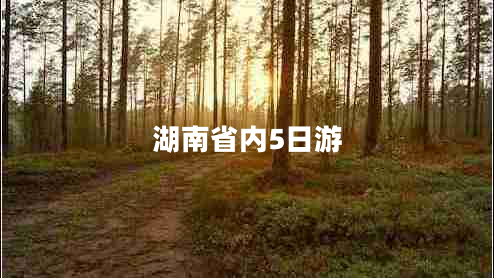 湖南省內(nèi)5日游