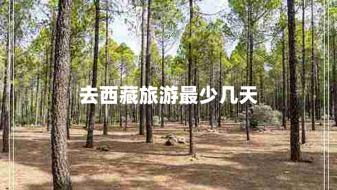 去西藏旅游最少幾天