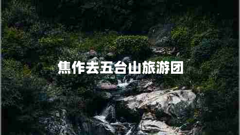 焦作去五臺山旅游團