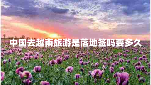 中國去越南旅游是落地簽嗎要多久