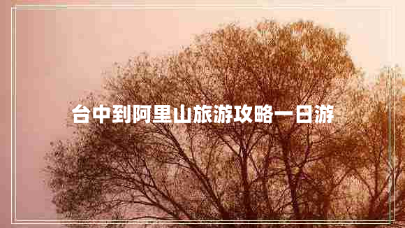 臺(tái)中到阿里山旅游攻略一日游