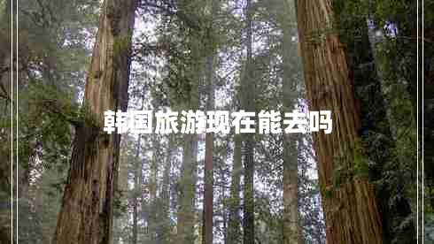 韓國旅游現(xiàn)在能去嗎