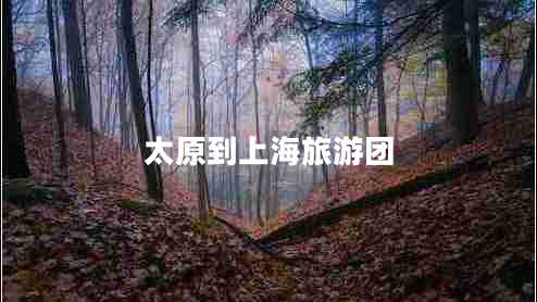 太原到上海旅游團(tuán) 太原到上海旅游團(tuán)