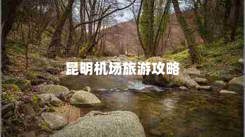 昆明機(jī)場(chǎng)旅游攻略