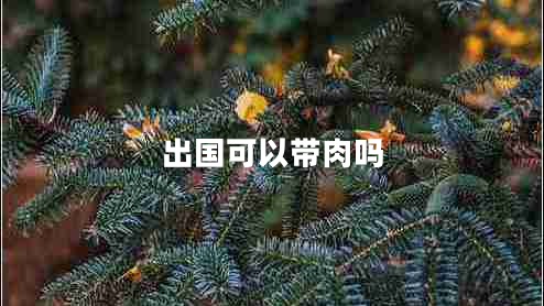 出國(guó)可以帶肉嗎
