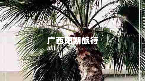 廣西陽(yáng)朔旅行 廣西陽(yáng)朔旅行