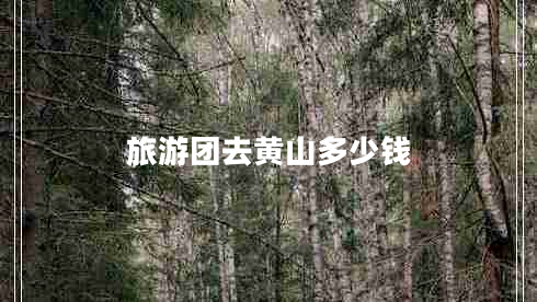 旅游團(tuán)去黃山多少錢(qián) 旅游團(tuán)去黃山多少錢(qián)